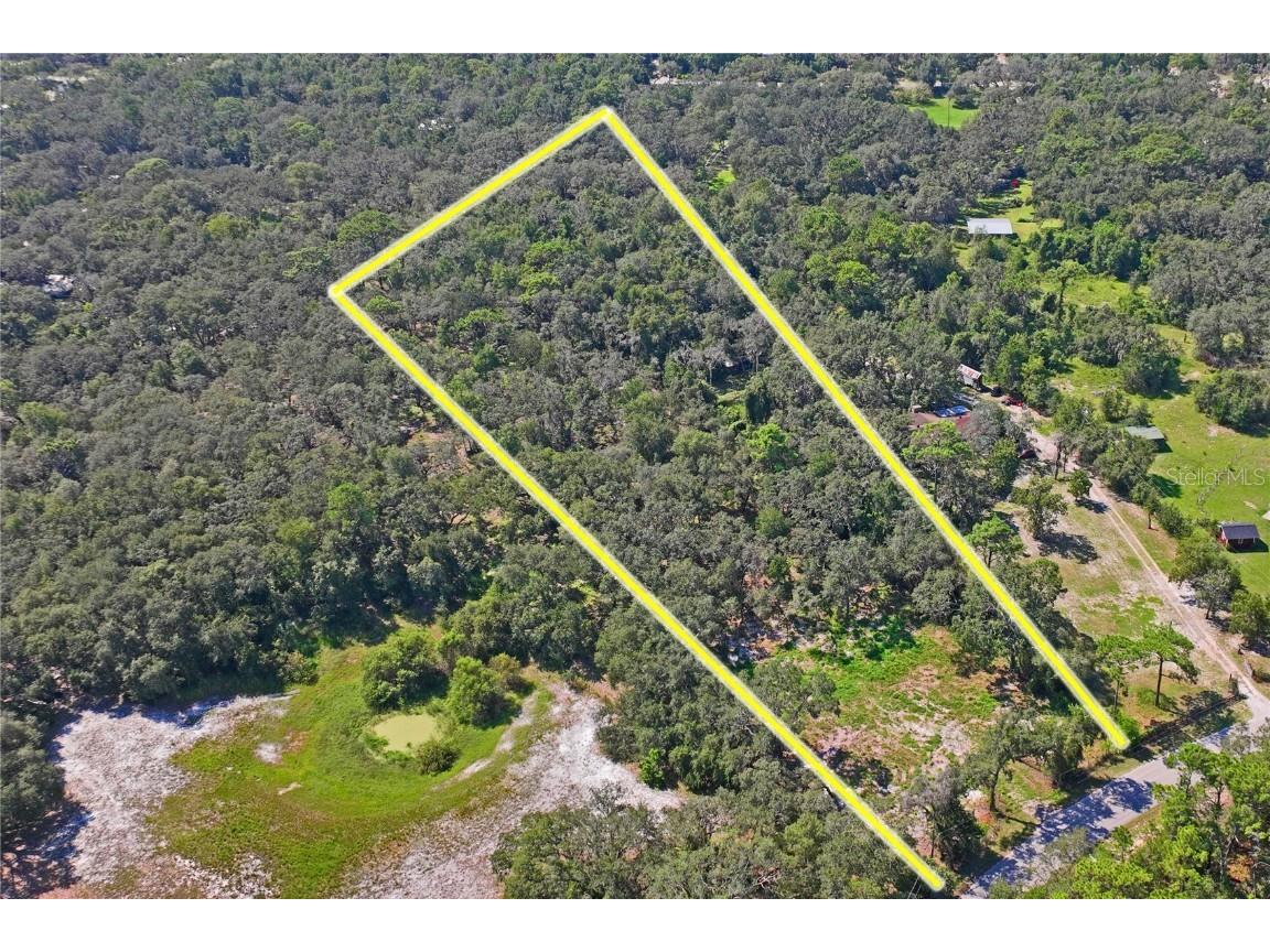 16900 Akins Drive Spring Hill FL 34610 W7878602 image8