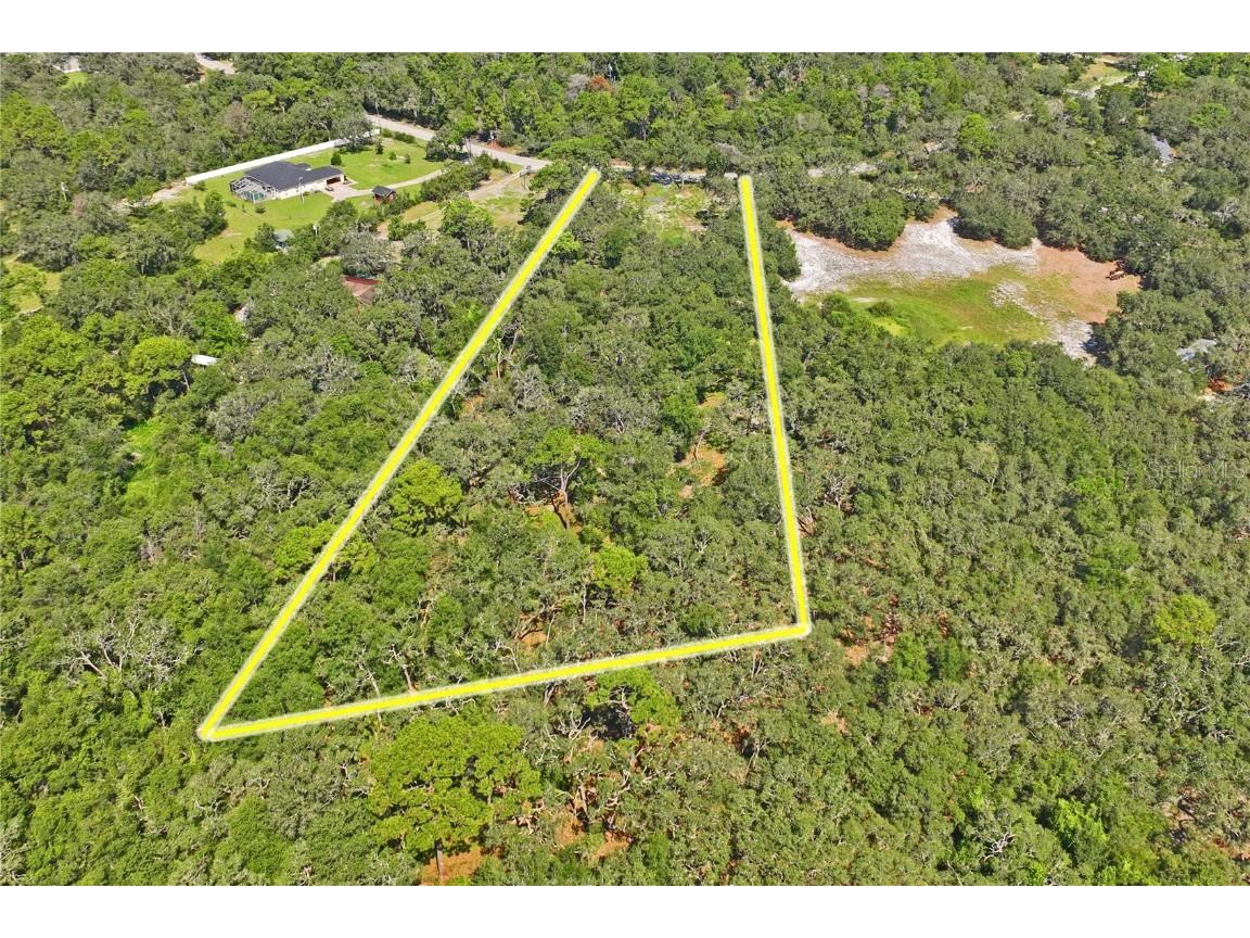 16900 Akins Drive Spring Hill FL 34610 W7878602 image9