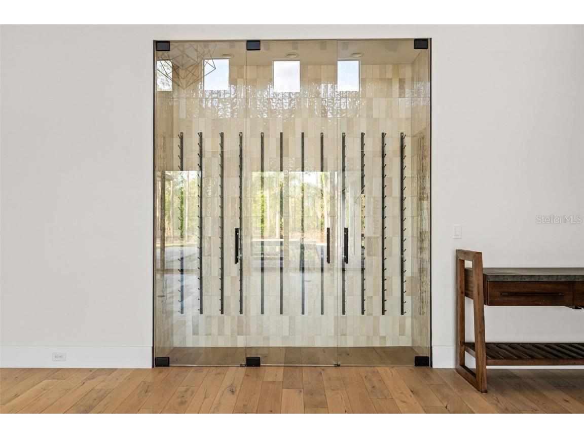 16902 Vinci Way Montverde FL 34756 O6276059 image66