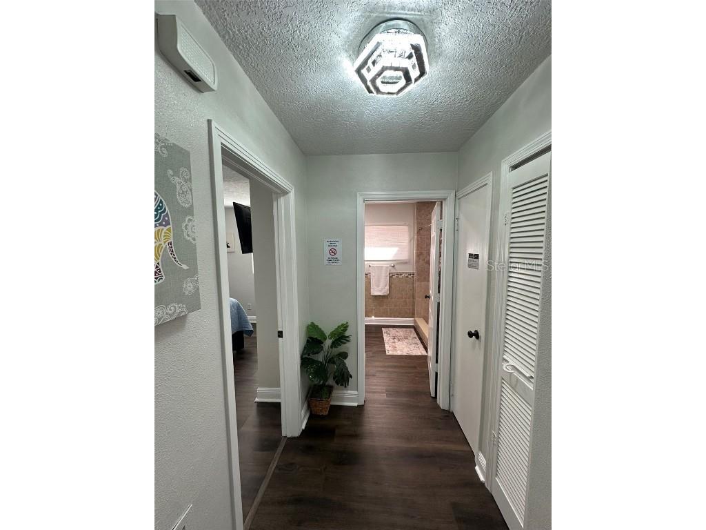 16903 Hanna Road Lutz FL 33549 TB8438949 image41