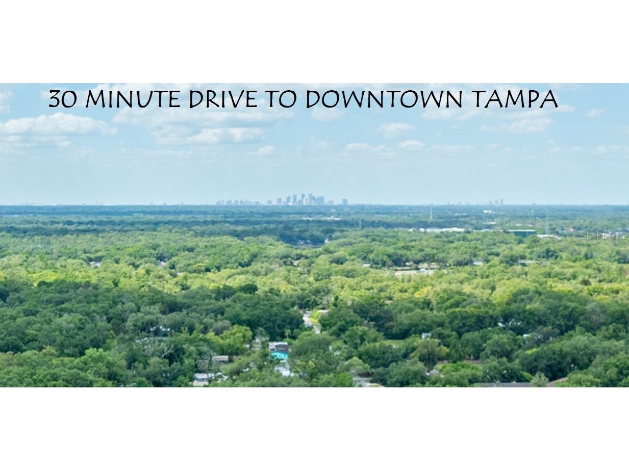 16903 Hanna Road Lutz FL 33549 TB8438949 image89