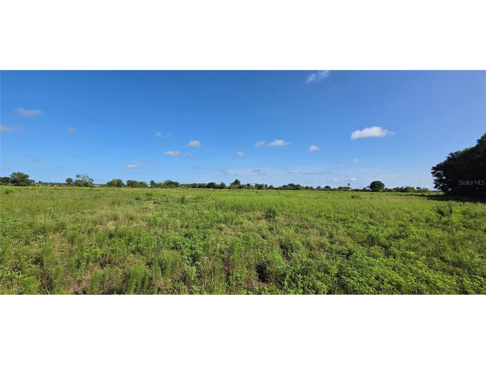 16905 NW 220th Street Okeechobee FL 34972 OK225248 image3