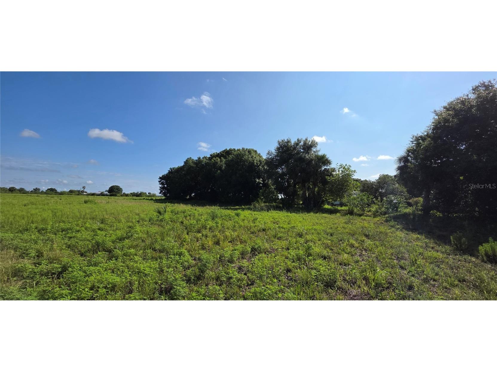 16905 NW 220th Street Okeechobee FL 34972 OK225248 image6