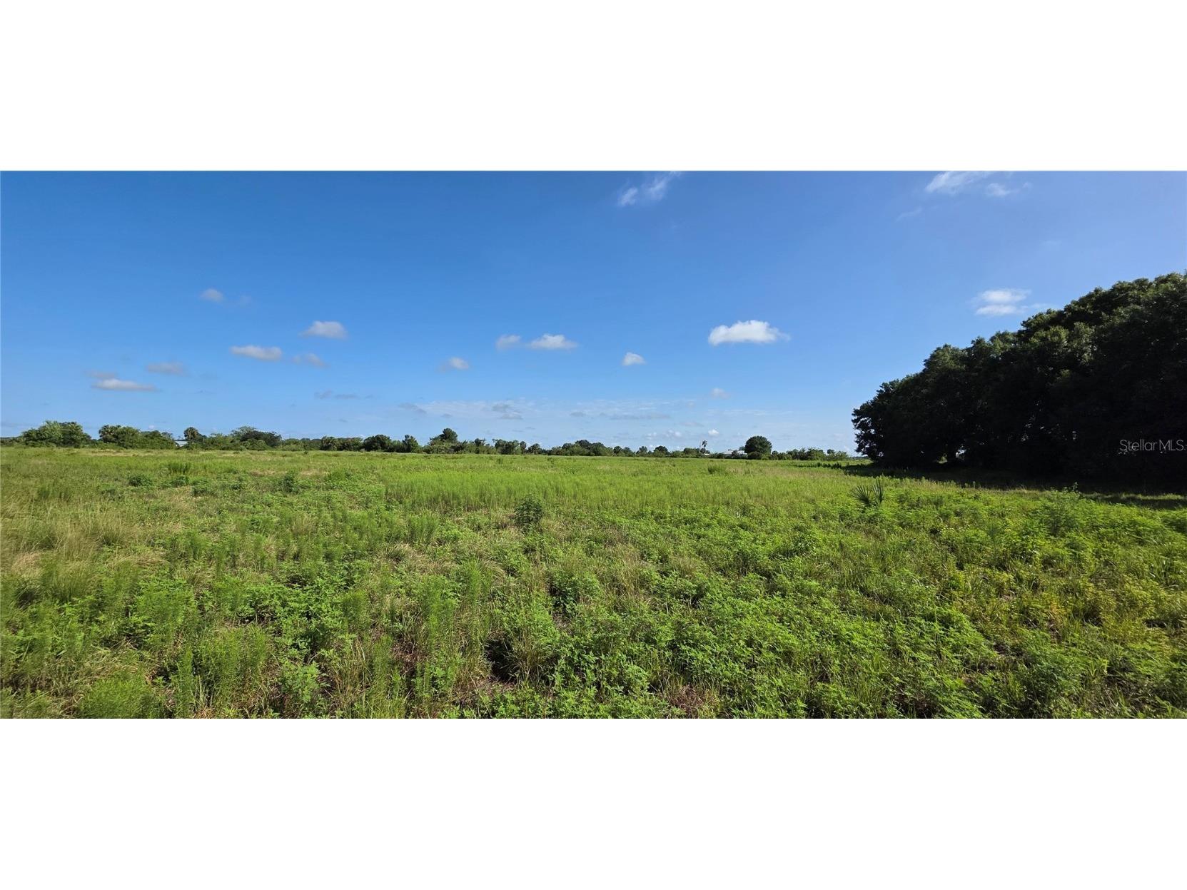 16905 NW 220th Street Okeechobee FL 34972 OK225248 image7