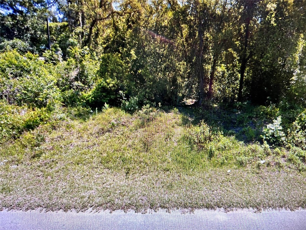 16905 SE 248th Terrace Umatilla FL 32784 P4923319 image1