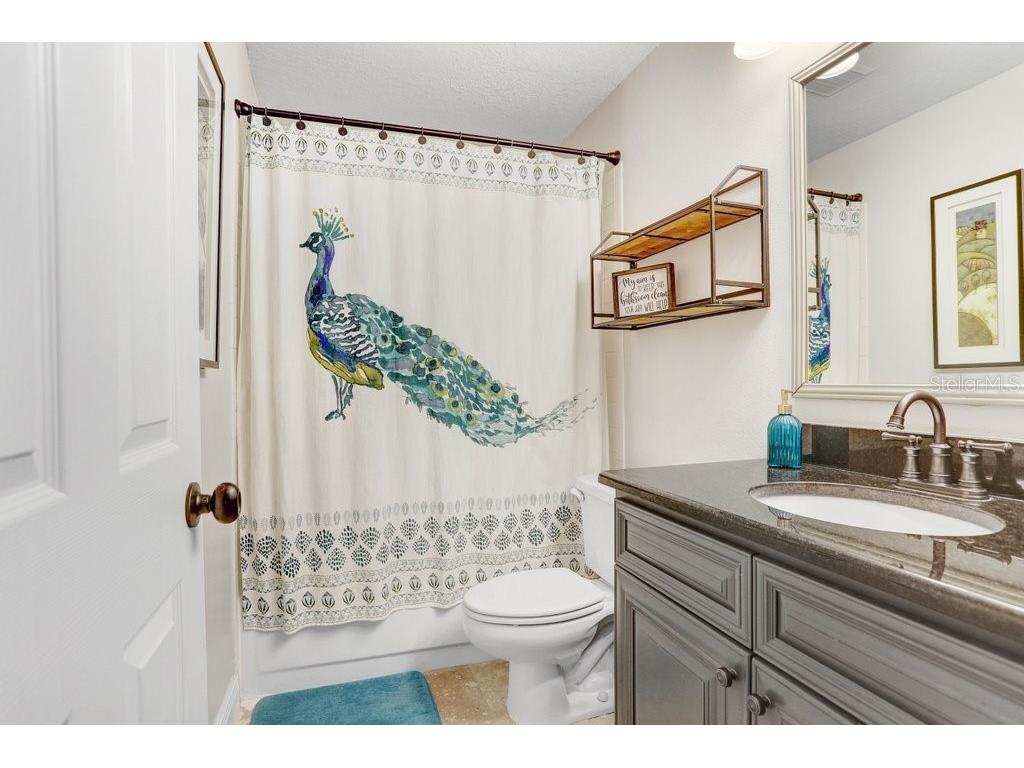 16906 Equestrian Trail Odessa FL 33556 TB8449884 image17