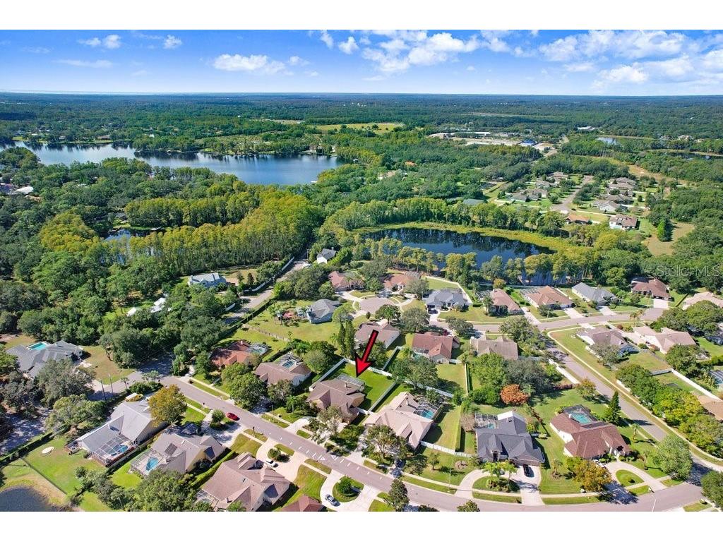 16906 Equestrian Trail Odessa FL 33556 TB8449884 image38