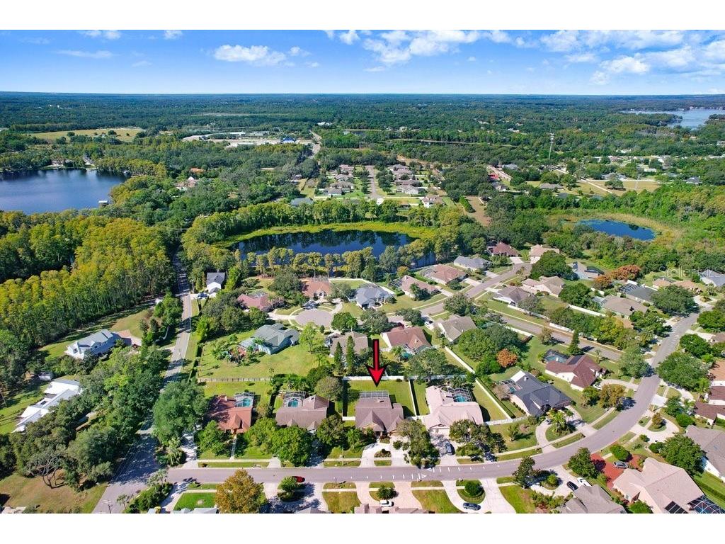 16906 Equestrian Trail Odessa FL 33556 TB8449884 image39