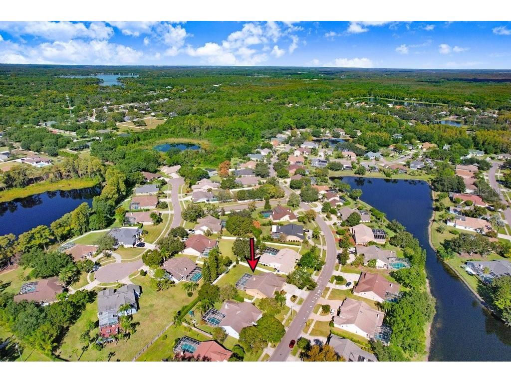 16906 Equestrian Trail Odessa FL 33556 TB8449884 image40