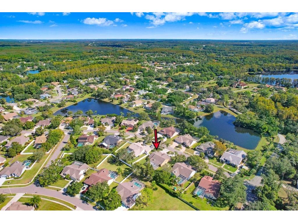 16906 Equestrian Trail Odessa FL 33556 TB8449884 image41