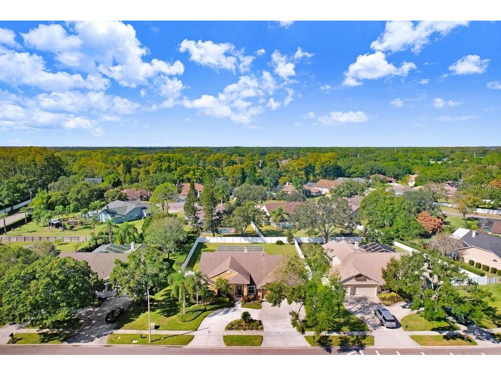 16906 Equestrian Trail Odessa FL 33556 TB8449884 image42