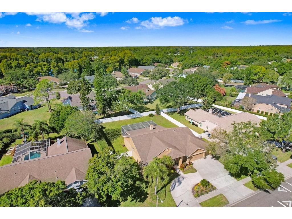 16906 Equestrian Trail Odessa FL 33556 TB8449884 image43