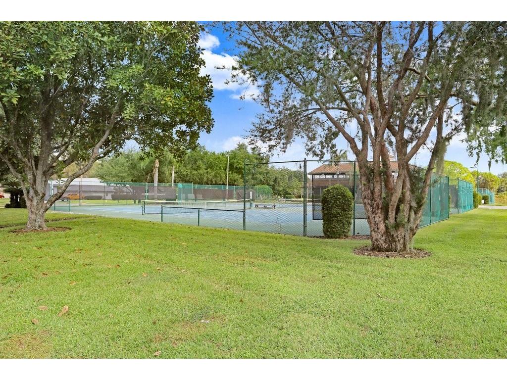 16906 Equestrian Trail Odessa FL 33556 TB8449884 image49