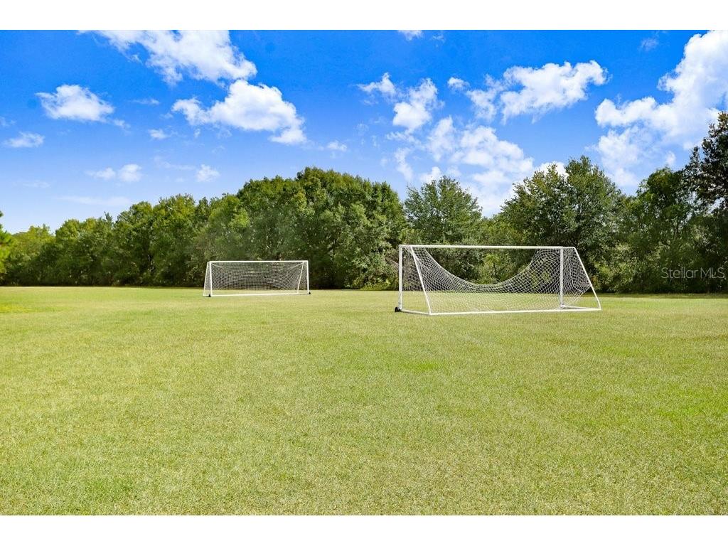 16906 Equestrian Trail Odessa FL 33556 TB8449884 image50