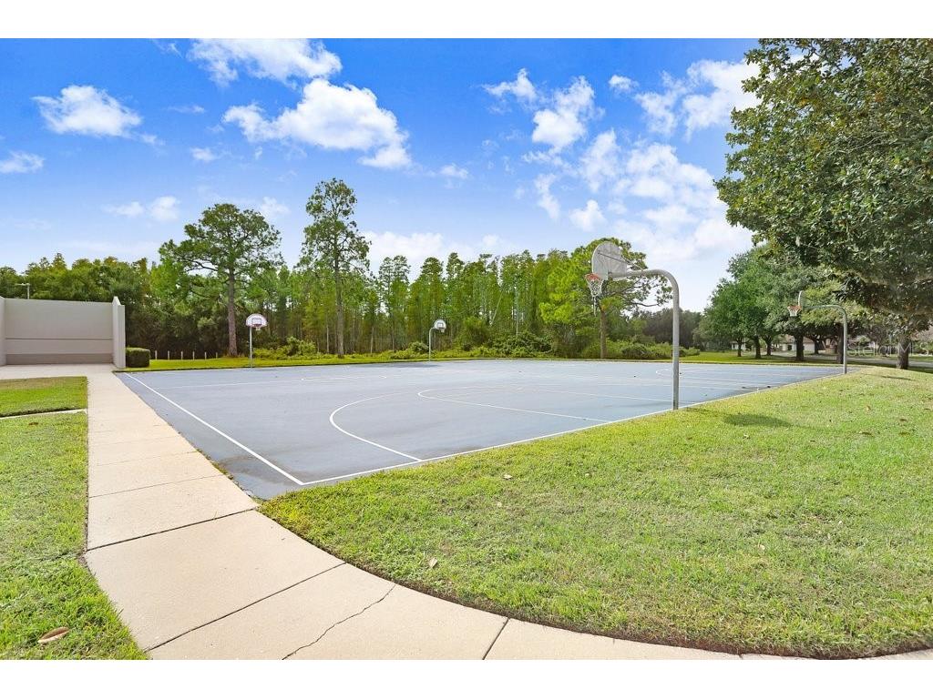 16906 Equestrian Trail Odessa FL 33556 TB8449884 image52