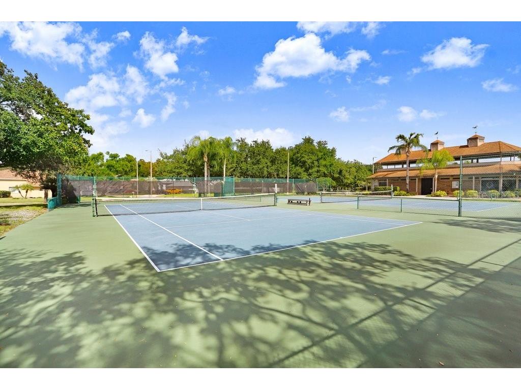 16906 Equestrian Trail Odessa FL 33556 TB8449884 image56