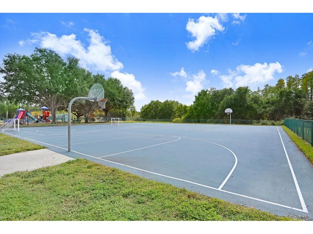 16906 Equestrian Trail Odessa FL 33556 TB8449884 image57