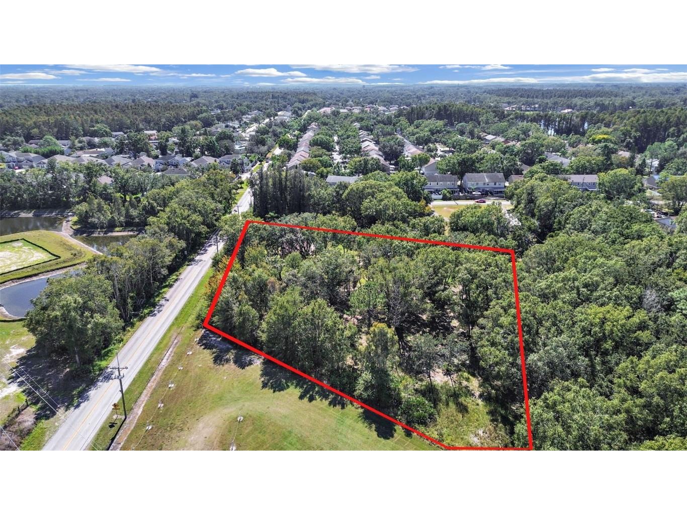 16906 Lakeshore Road Lutz FL 33558 TB8450301 image1