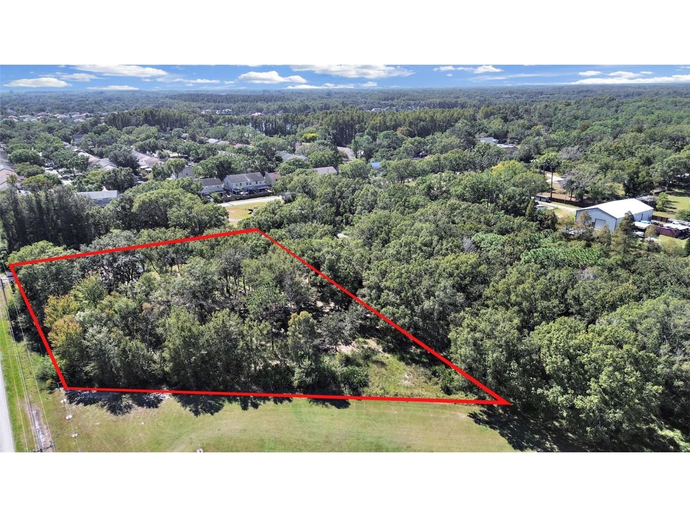 16906 Lakeshore Road Lutz FL 33558 TB8450301 image3