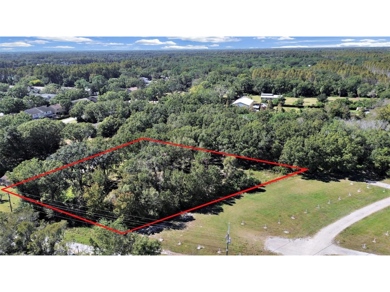 16906 Lakeshore Road Lutz FL 33558 TB8450301 image6