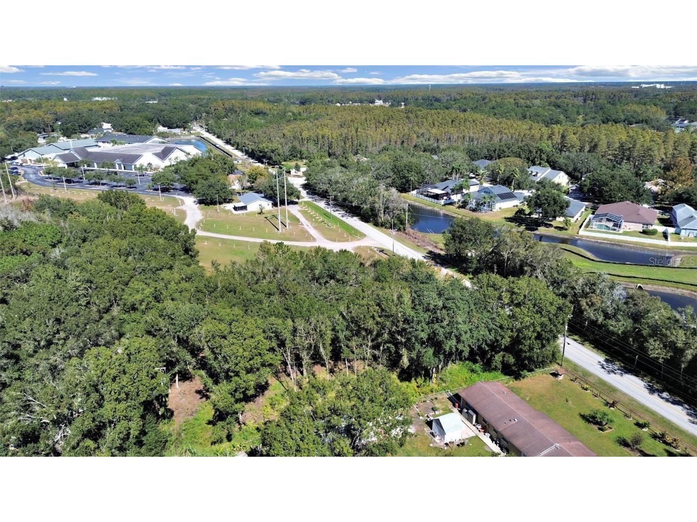 16906 Lakeshore Road Lutz FL 33558 TB8450301 image7