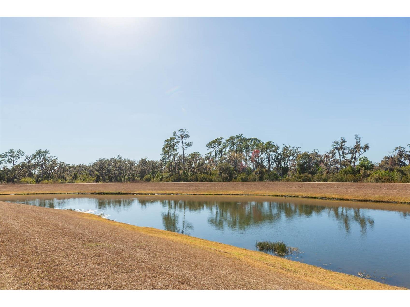 16906 Trite Bend Street Wimauma FL 33598 TB8475230 image4