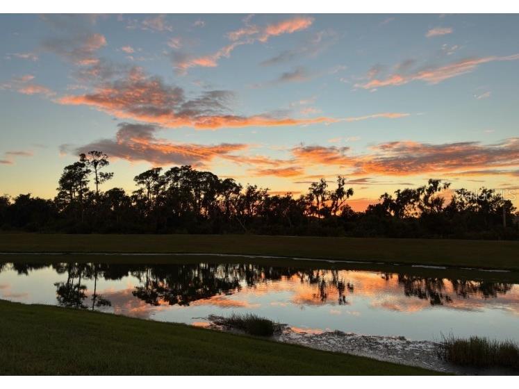 16906 Trite Bend Street Wimauma FL 33598 TB8475230 image5