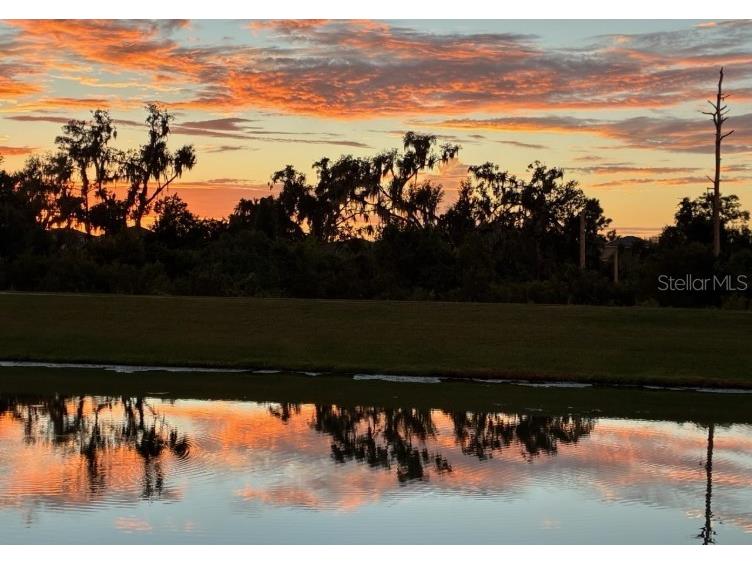 16906 Trite Bend Street Wimauma FL 33598 TB8475230 image7