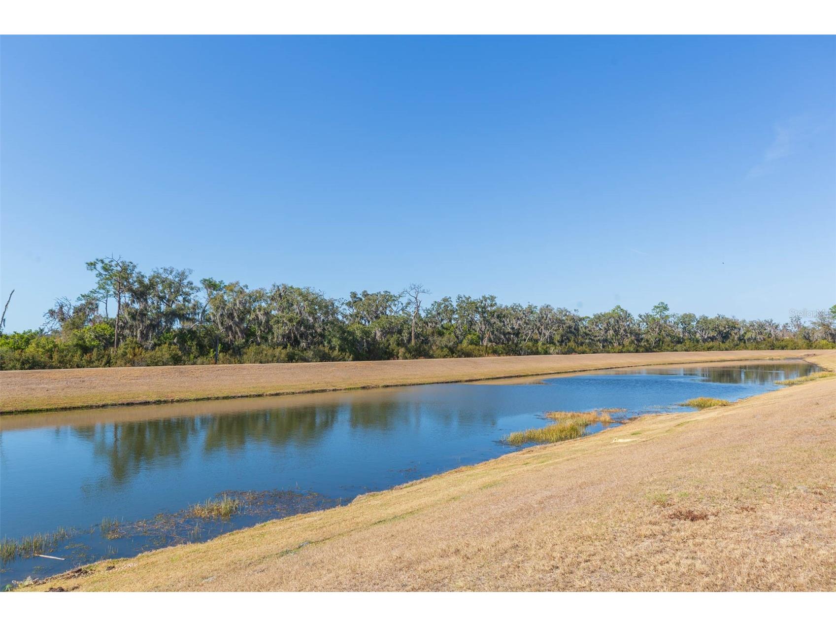 16906 Trite Bend Street Wimauma FL 33598 TB8475230 image8