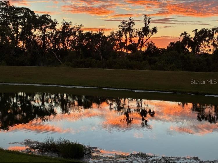 16906 Trite Bend Street Wimauma FL 33598 TB8475230 image9