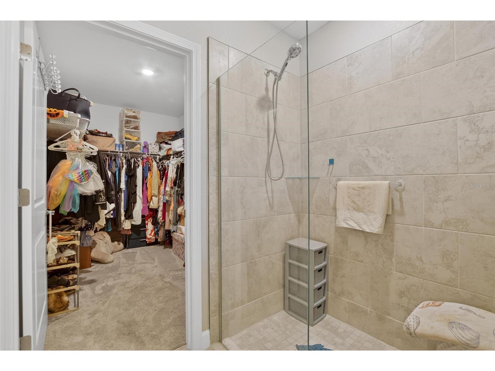 16909 April Plush Drive Wimauma FL 33598 TB8471493 image18