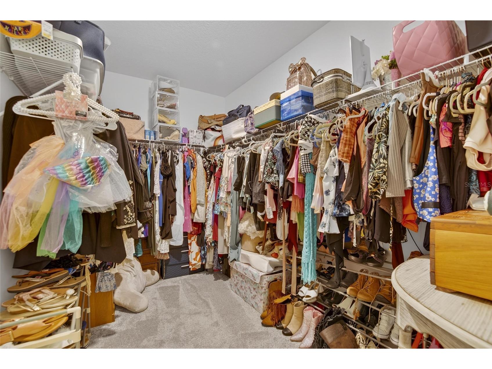 16909 April Plush Drive Wimauma FL 33598 TB8471493 image19
