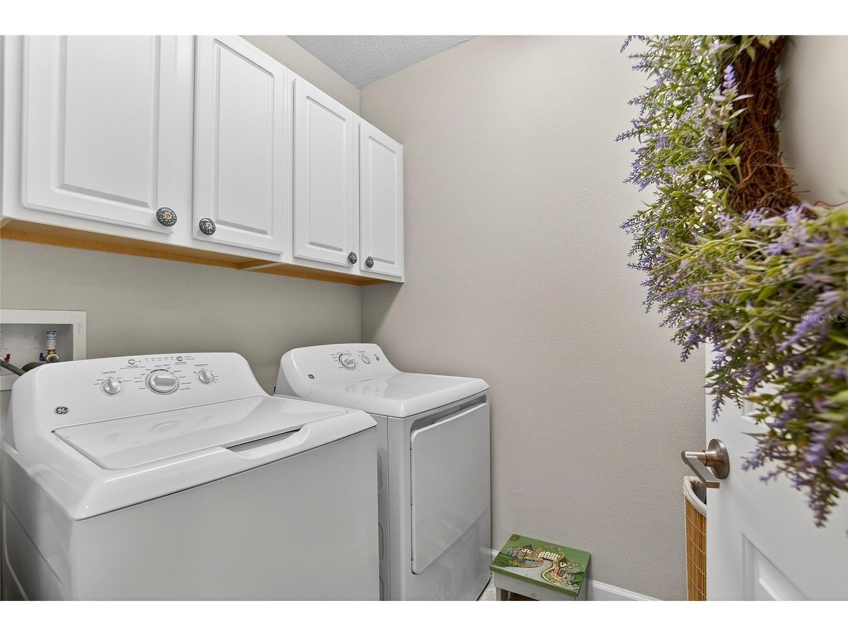 16909 April Plush Drive Wimauma FL 33598 TB8471493 image20