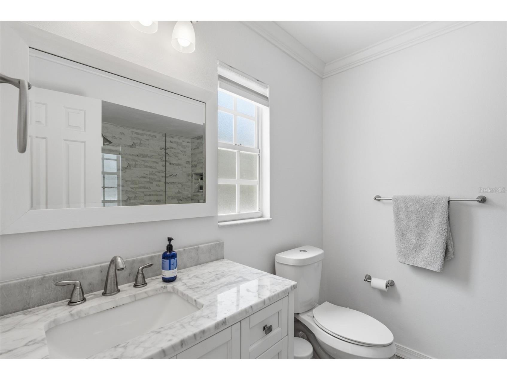 16909 Rolling Rock Drive Tampa FL 33618 TB8528226 image10
