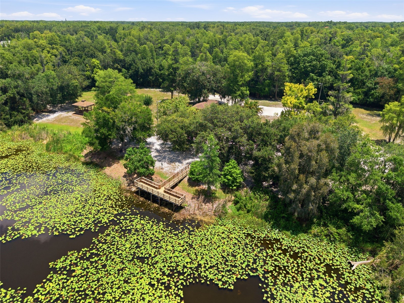 16909 Rolling Rock Drive Tampa FL 33618 TB8528226 image37