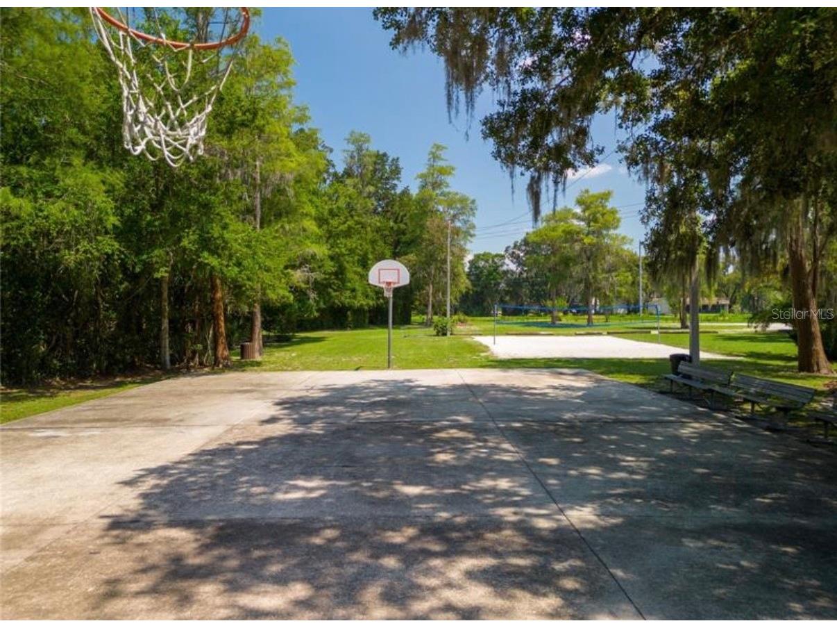 16909 Rolling Rock Drive Tampa FL 33618 TB8528226 image39