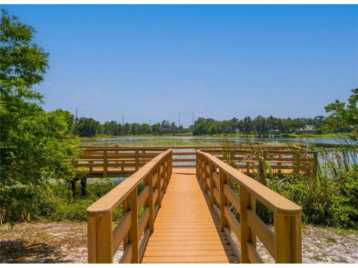 16909 Rolling Rock Drive Tampa FL 33618 TB8528226 image40