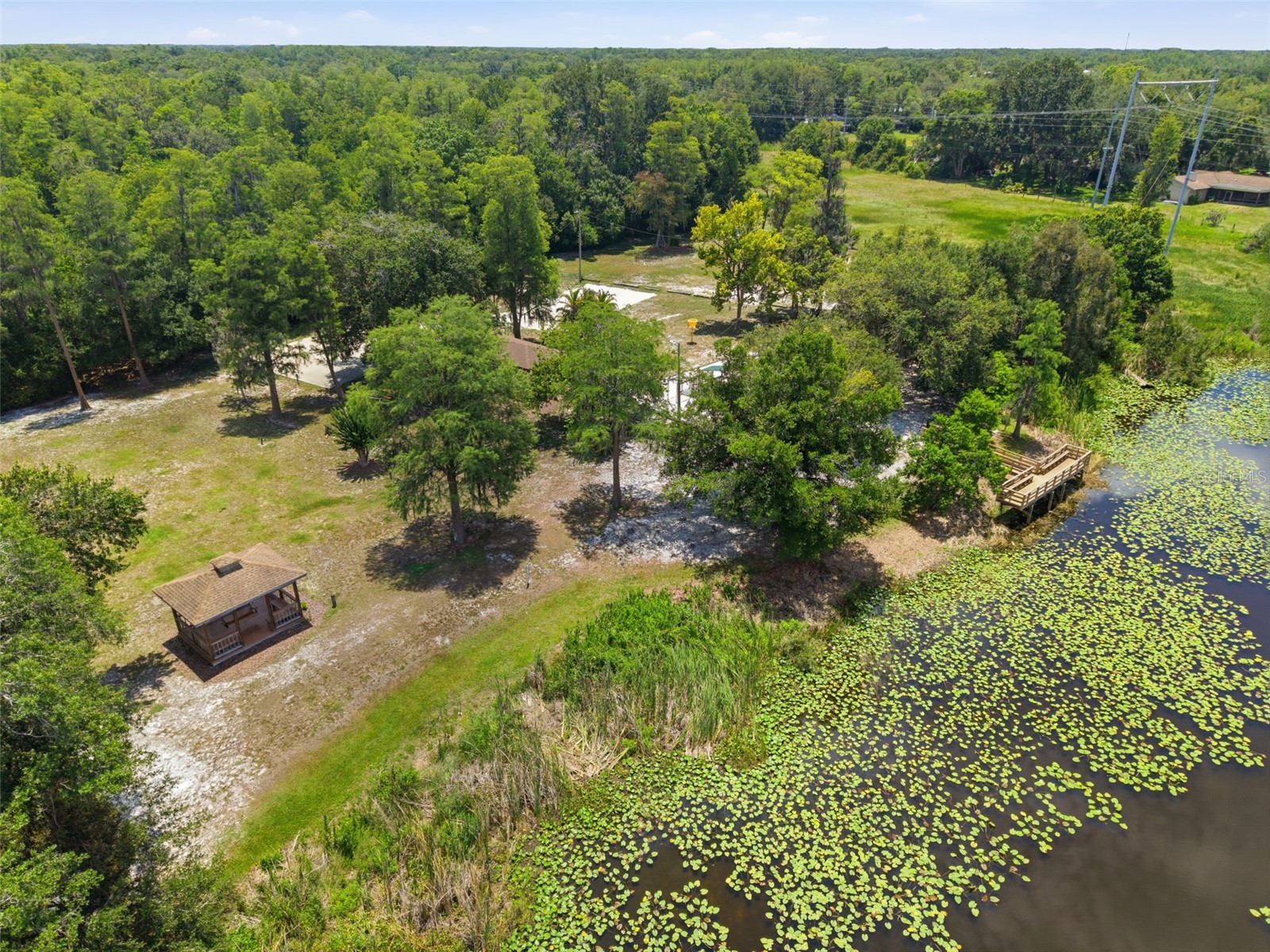16909 Rolling Rock Drive Tampa FL 33618 TB8528226 image42