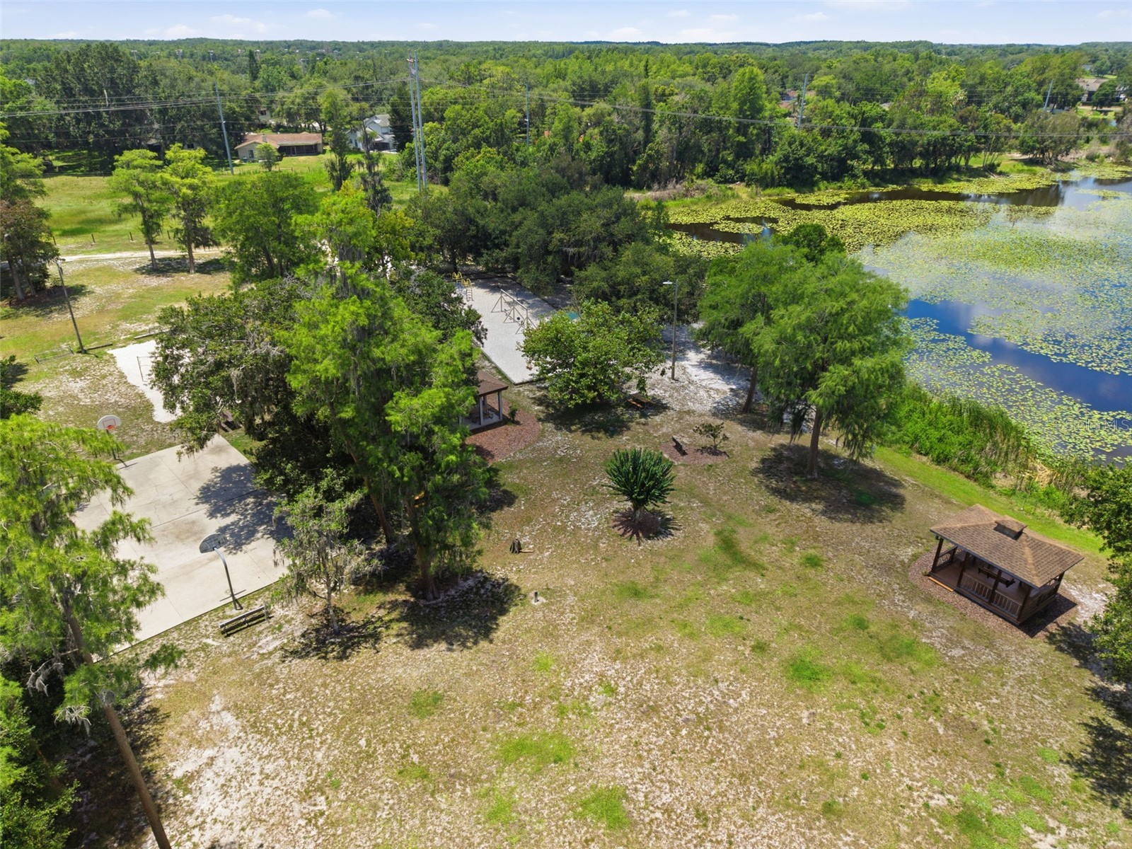 16909 Rolling Rock Drive Tampa FL 33618 TB8528226 image44