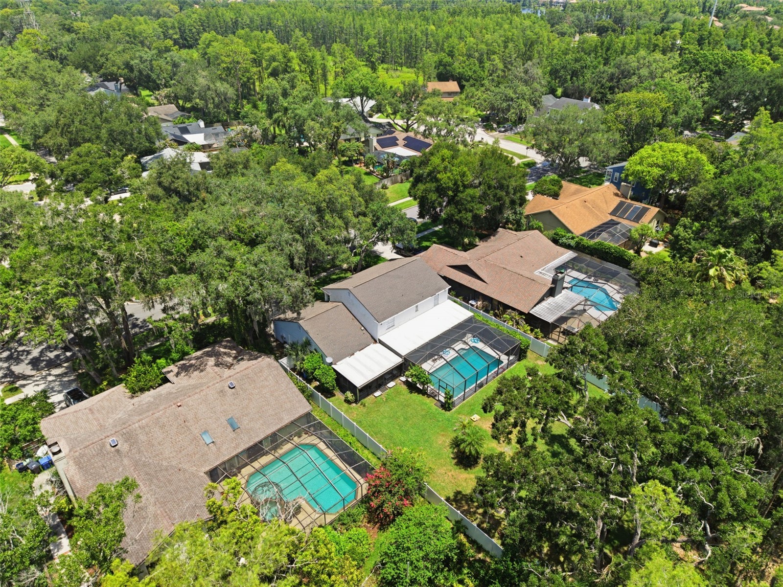 16909 Rolling Rock Drive Tampa FL 33618 TB8528226 image51