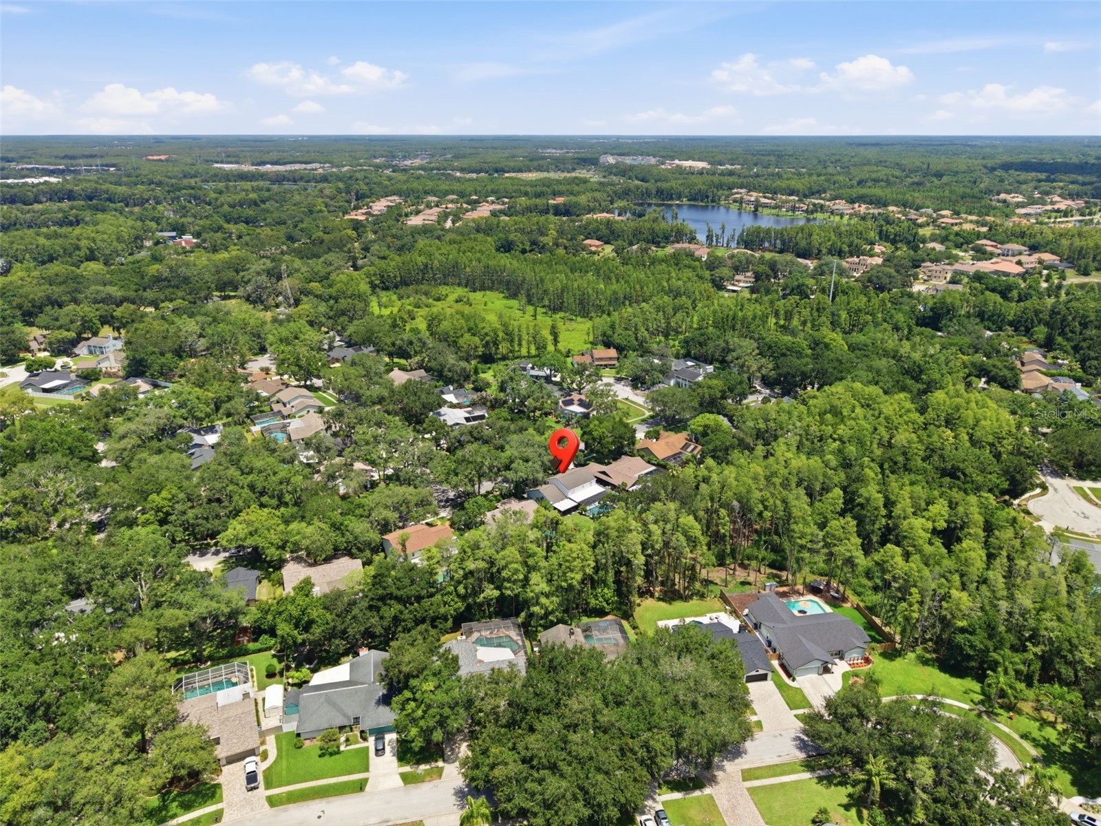 16909 Rolling Rock Drive Tampa FL 33618 TB8528226 image52