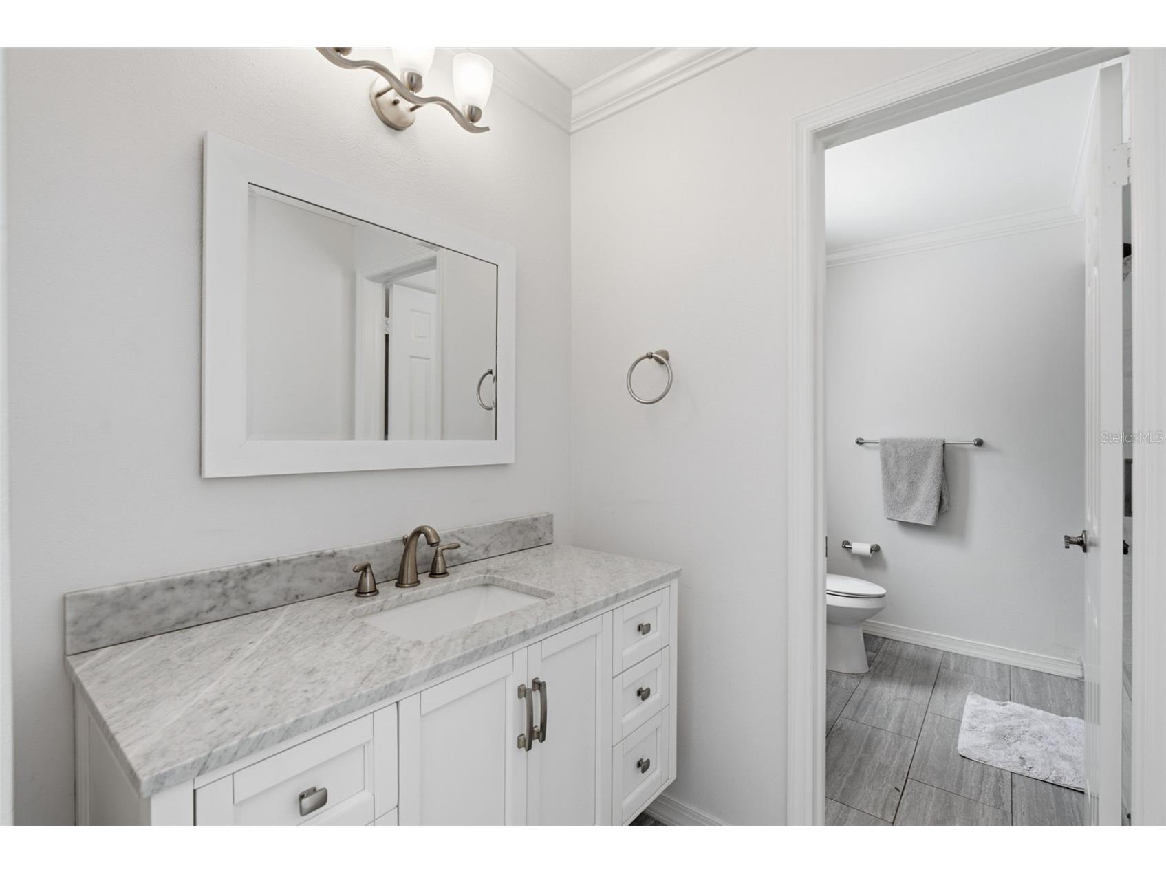 16909 Rolling Rock Drive Tampa FL 33618 TB8528226 image9