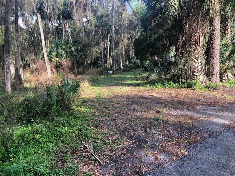 1691 E Park Trail Enterprise FL 32725 P4923124 image1