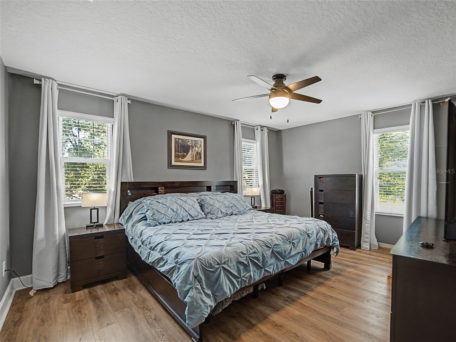 16910 Dorman Road Lithia FL 33547 TB8527874 image17