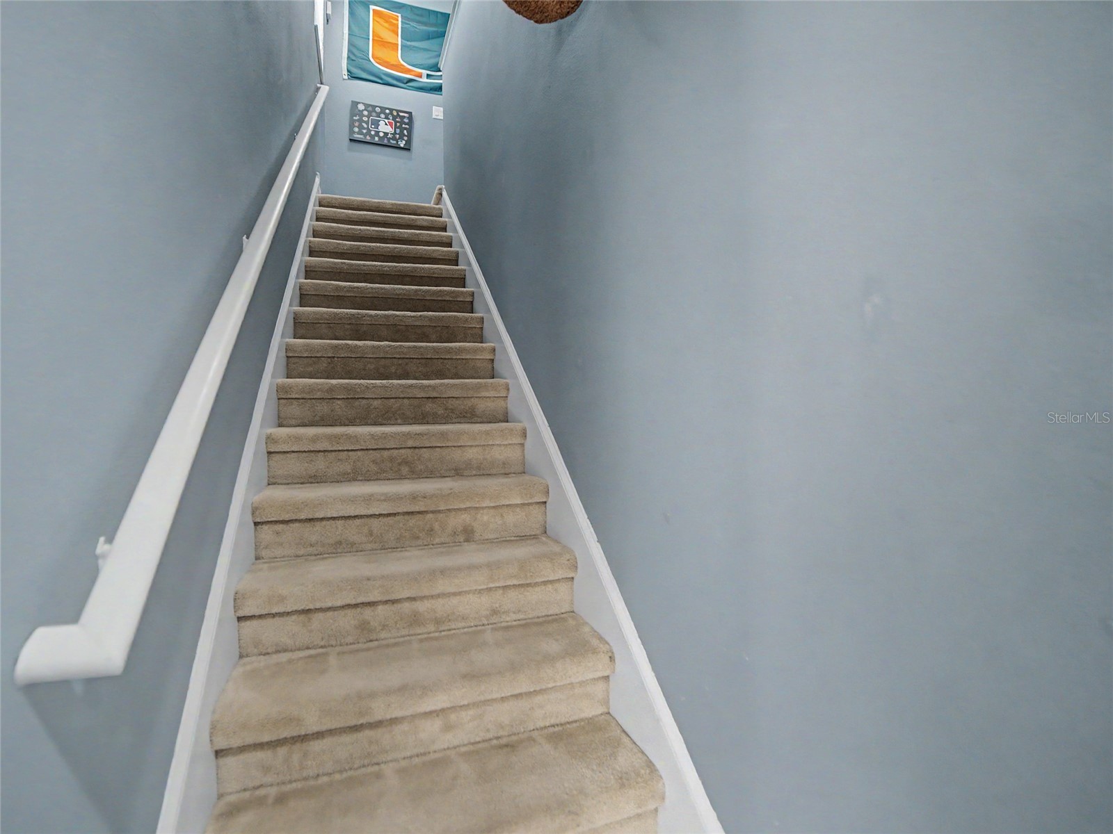 16910 Dorman Road Lithia FL 33547 TB8527874 image28