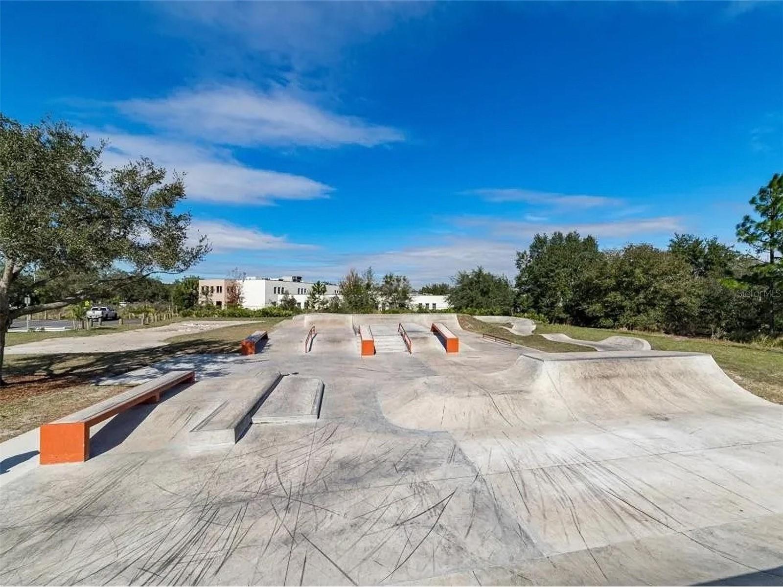 16910 Dorman Road Lithia FL 33547 TB8527874 image37
