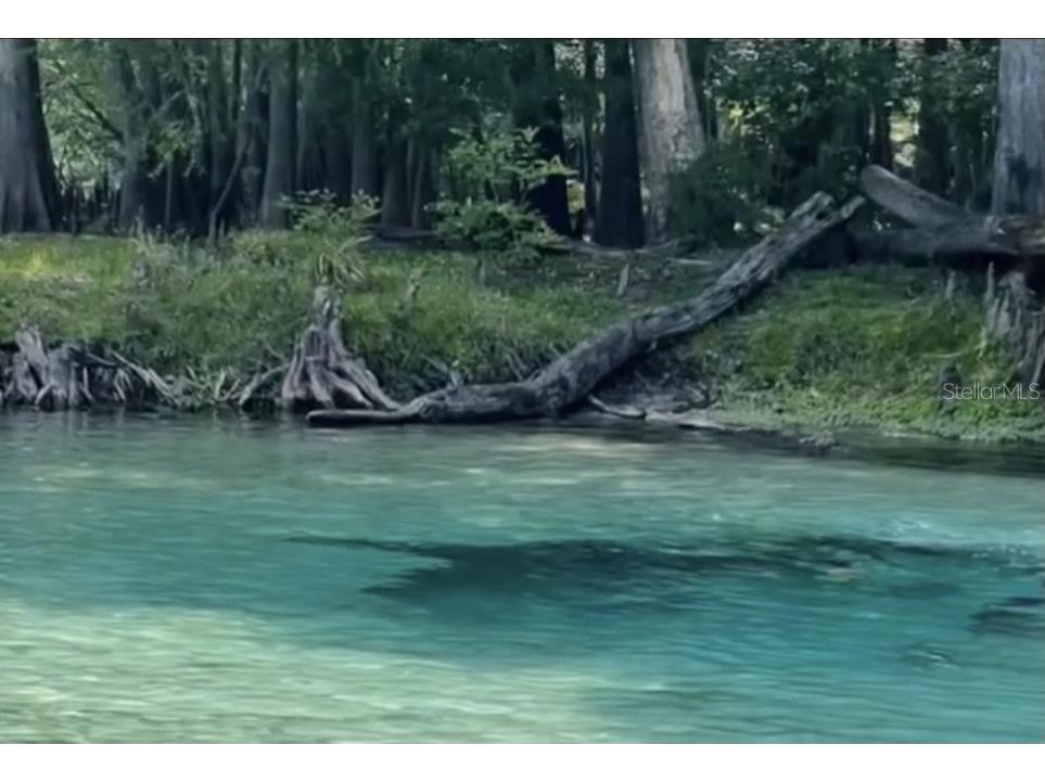 16910 NW 212th Terrace High Springs FL 32643 GC535498 image50