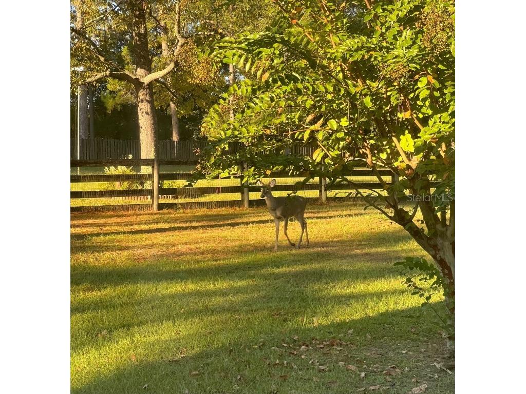 16910 NW 212th Terrace High Springs FL 32643 GC535498 image52