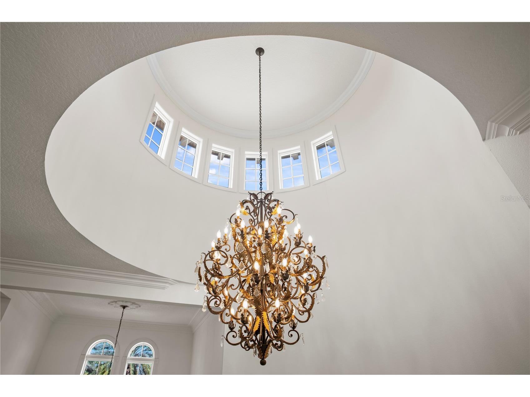 16911 Comunidad De Avila Lutz FL 33548 TB8476635 image44