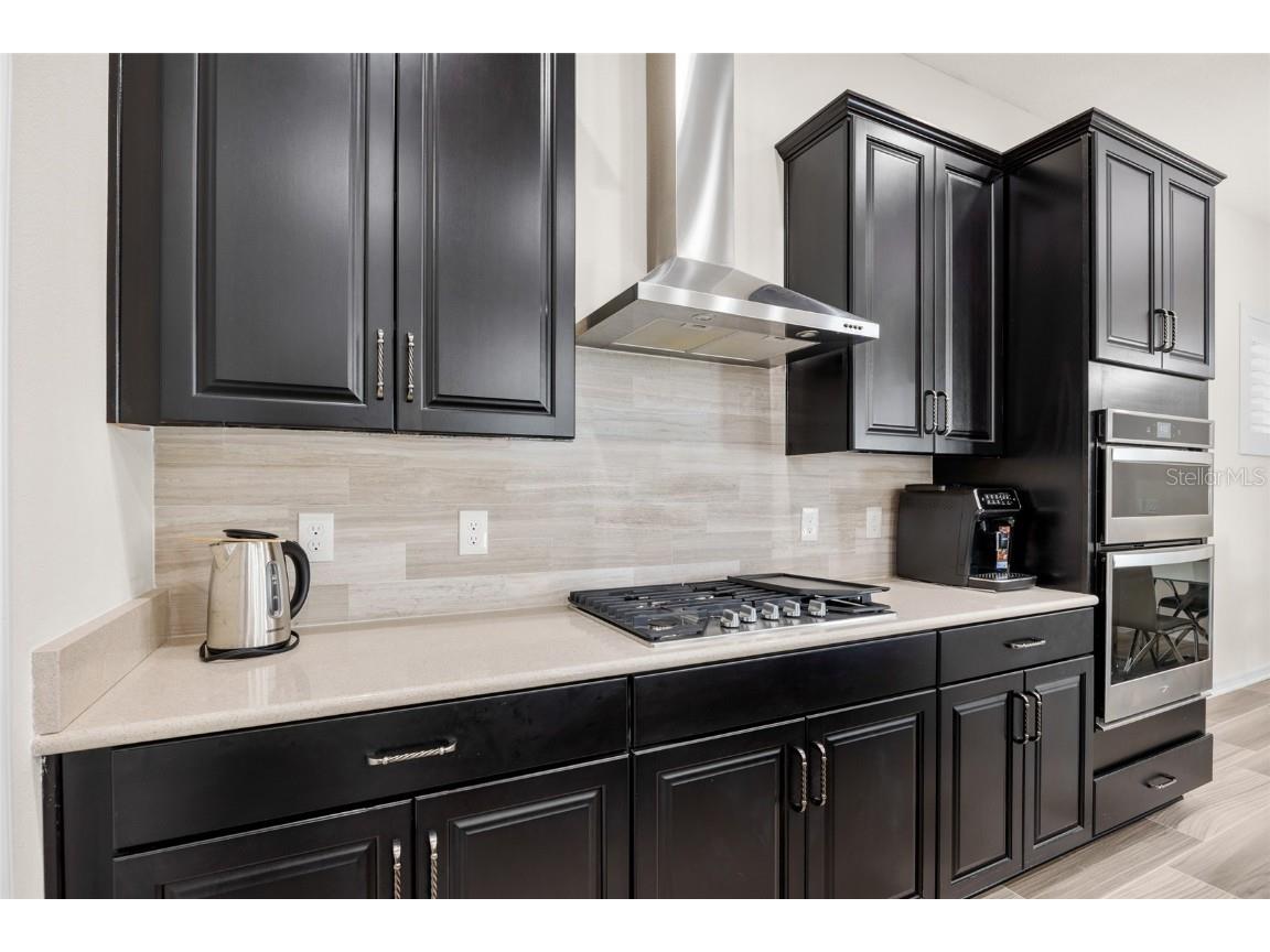 16912 Tradewind Point Winter Garden FL 34787 O6367439 image14